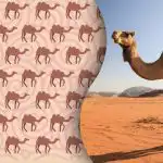 Alleen moderne Sherlock Holmeses zullen de vreemde kameel vinden: een